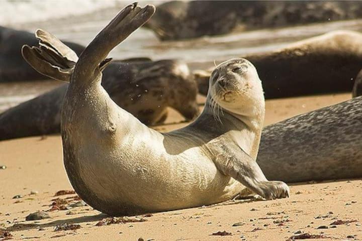Relaxing Chalet On Popular California Sands Short Stroll To Beach, Nr Norfolk Broads & Great Yarmouth Scratby Zewnętrze zdjęcie